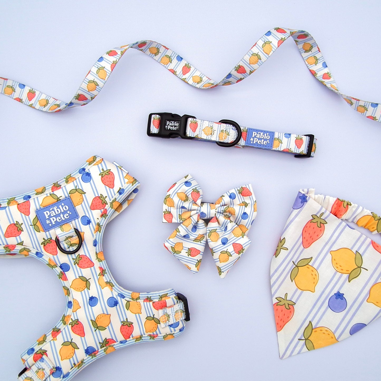 Berry Zest Harness