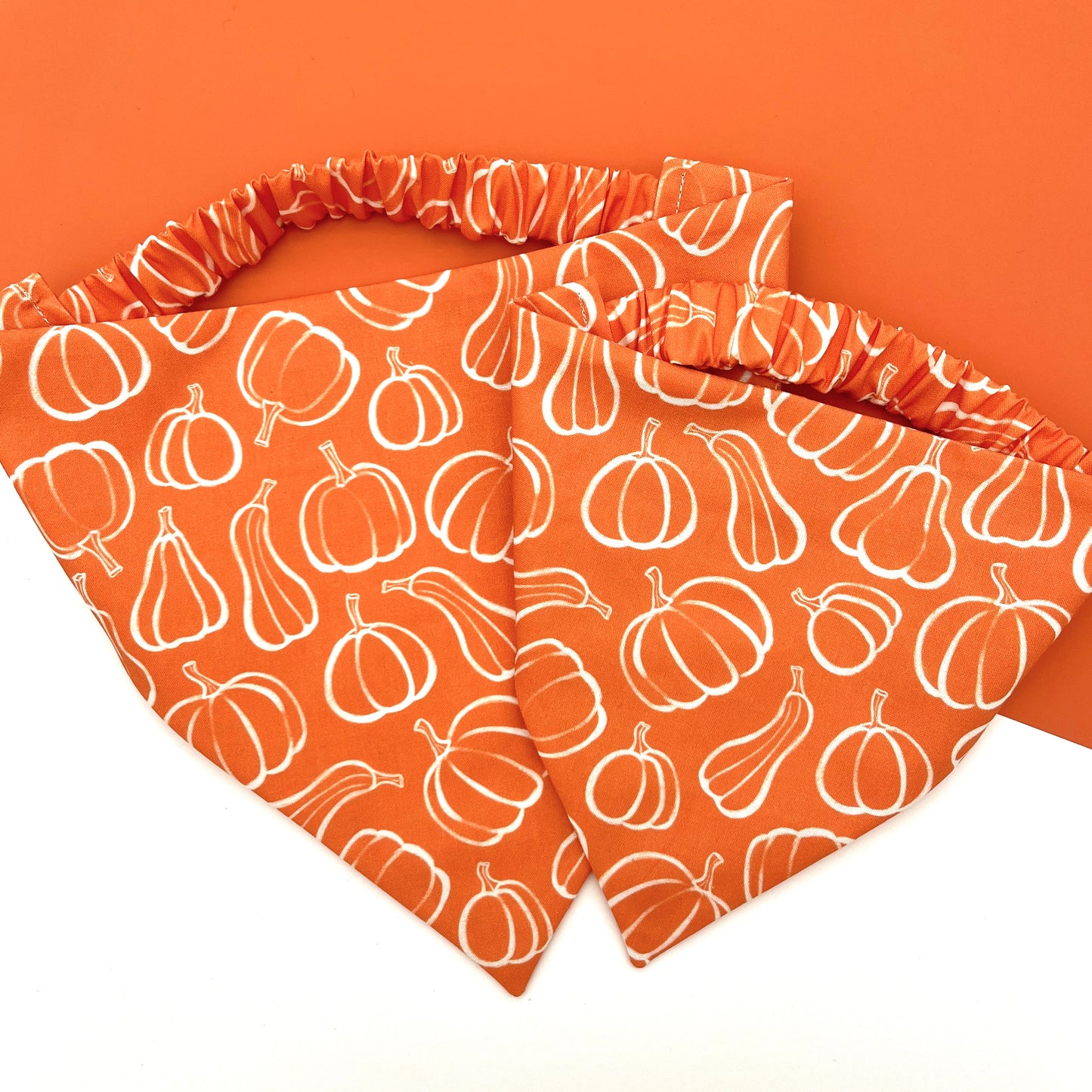 Pumpkin Season Bandana