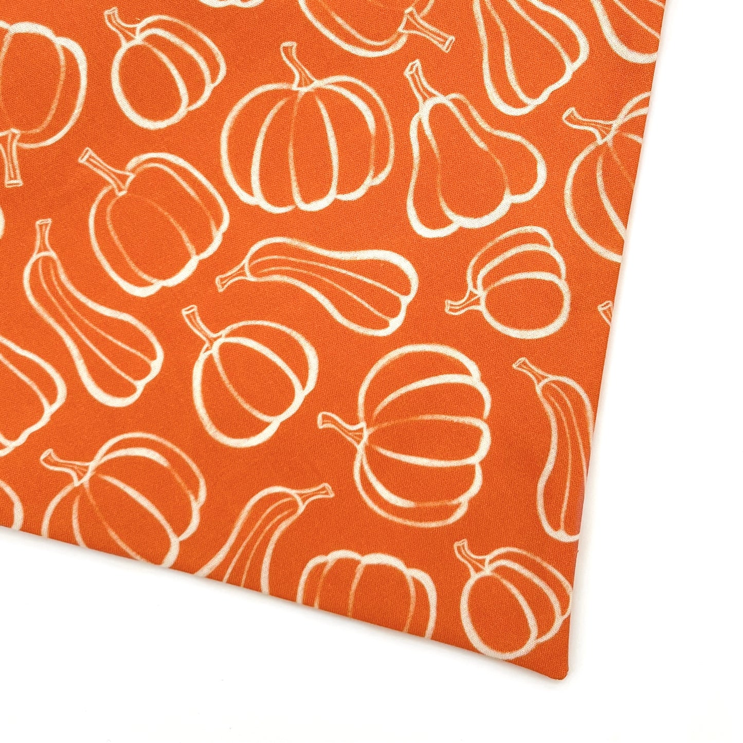 Pumpkin Season Bandana