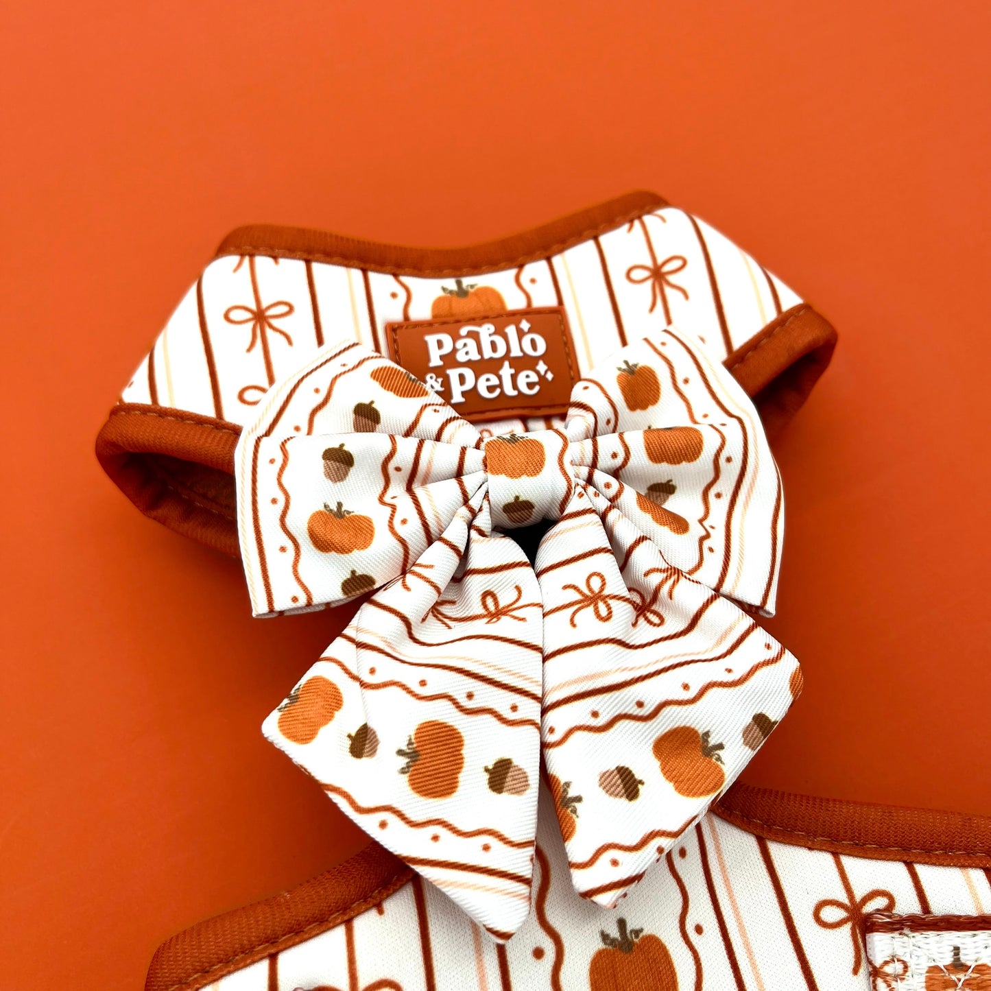 Pumpkin Season Harness