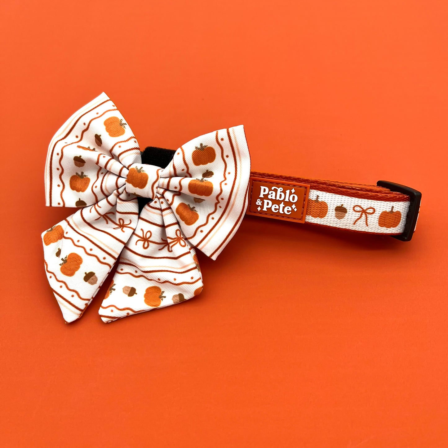 Pumpkin Season Collar
