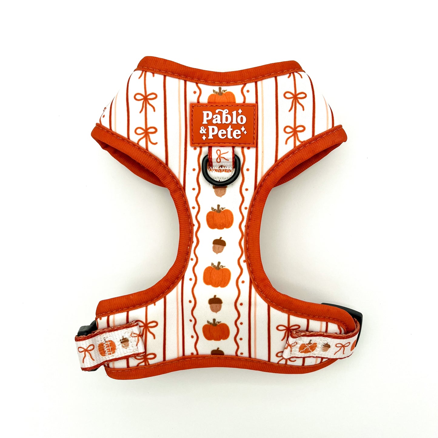 Pumpkin Season Harness
