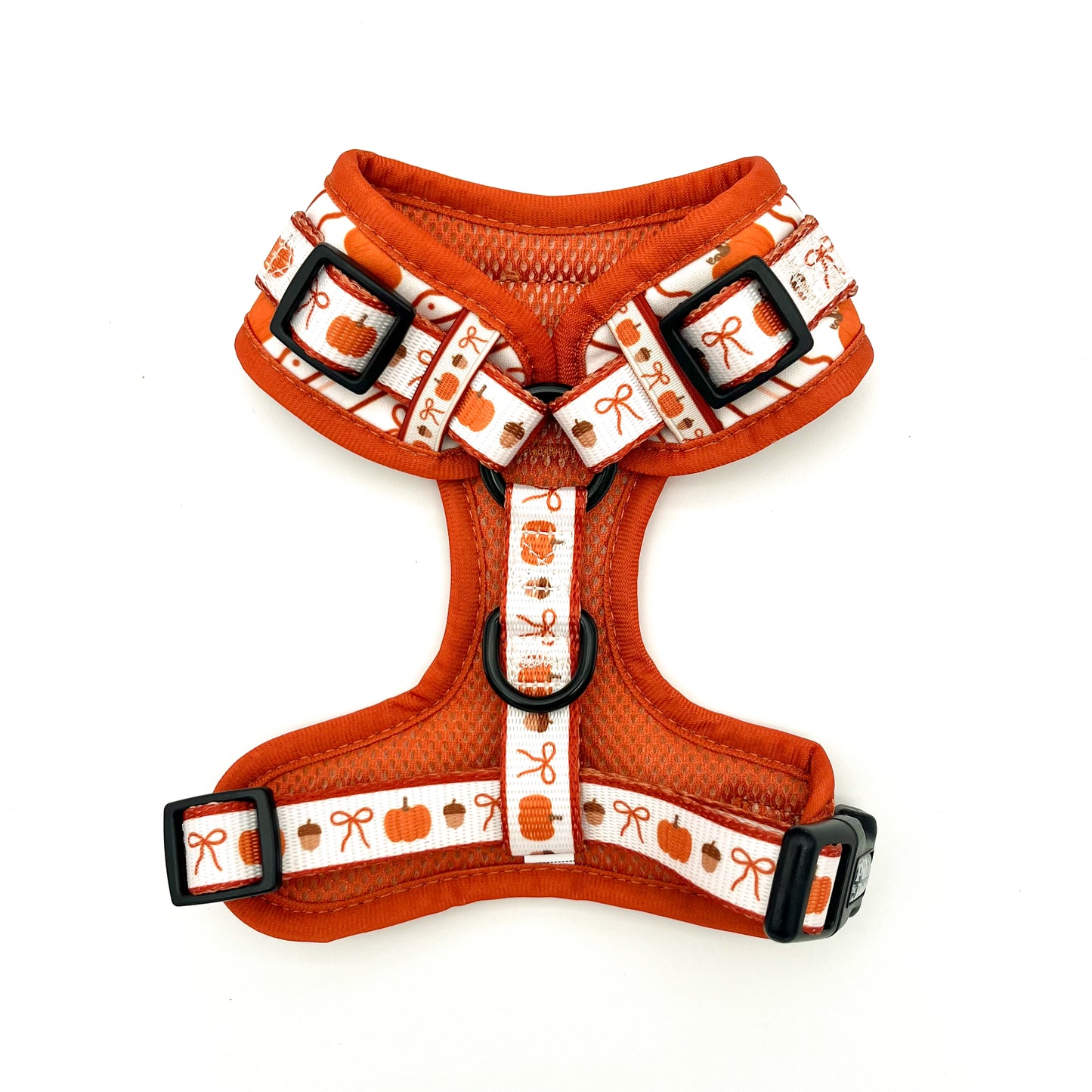 Pumpkin Season Harness