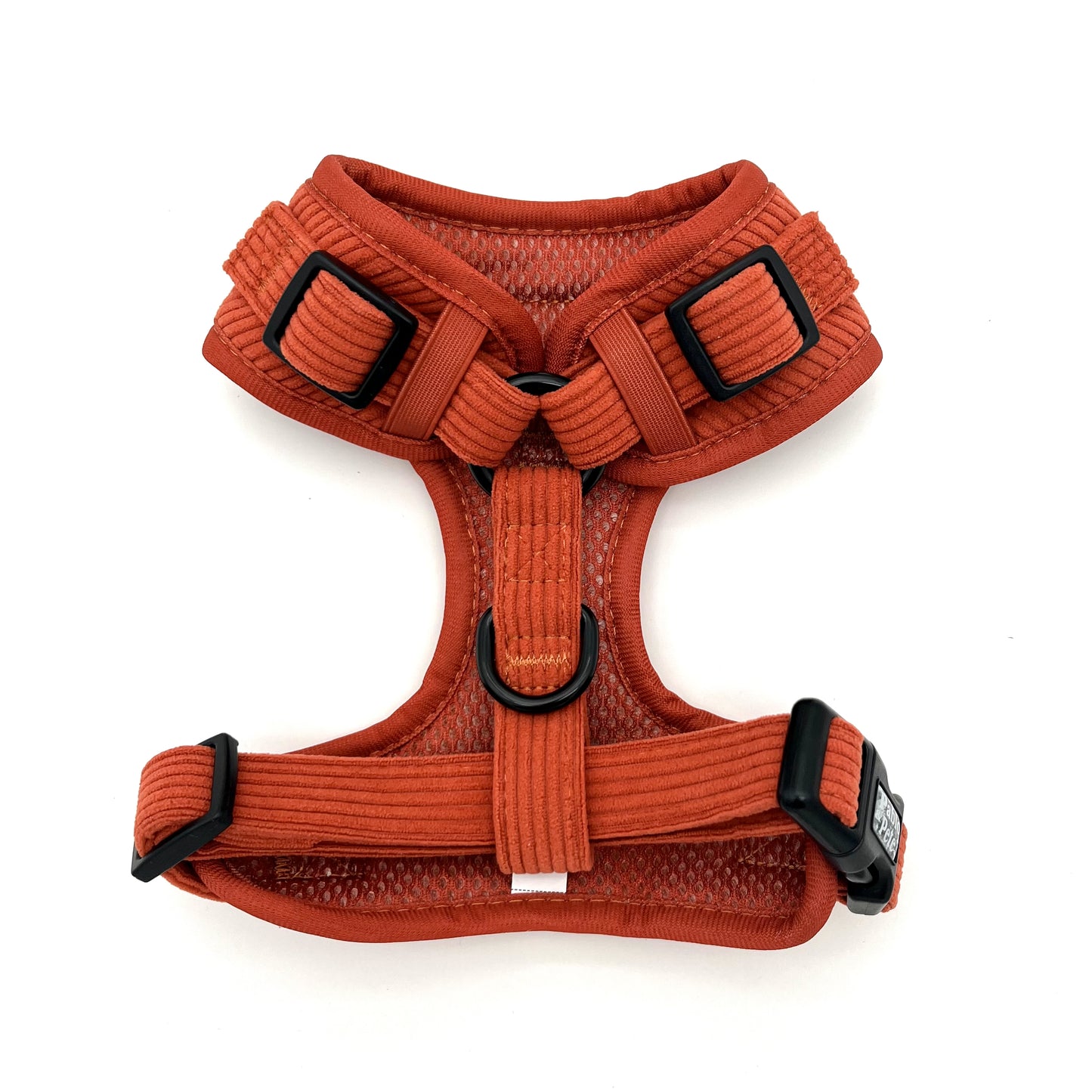 Maple Haze Cord Harness
