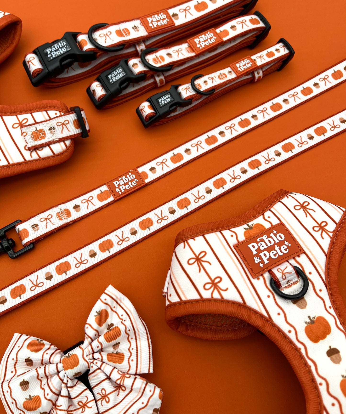 Pumpkin Season Collar