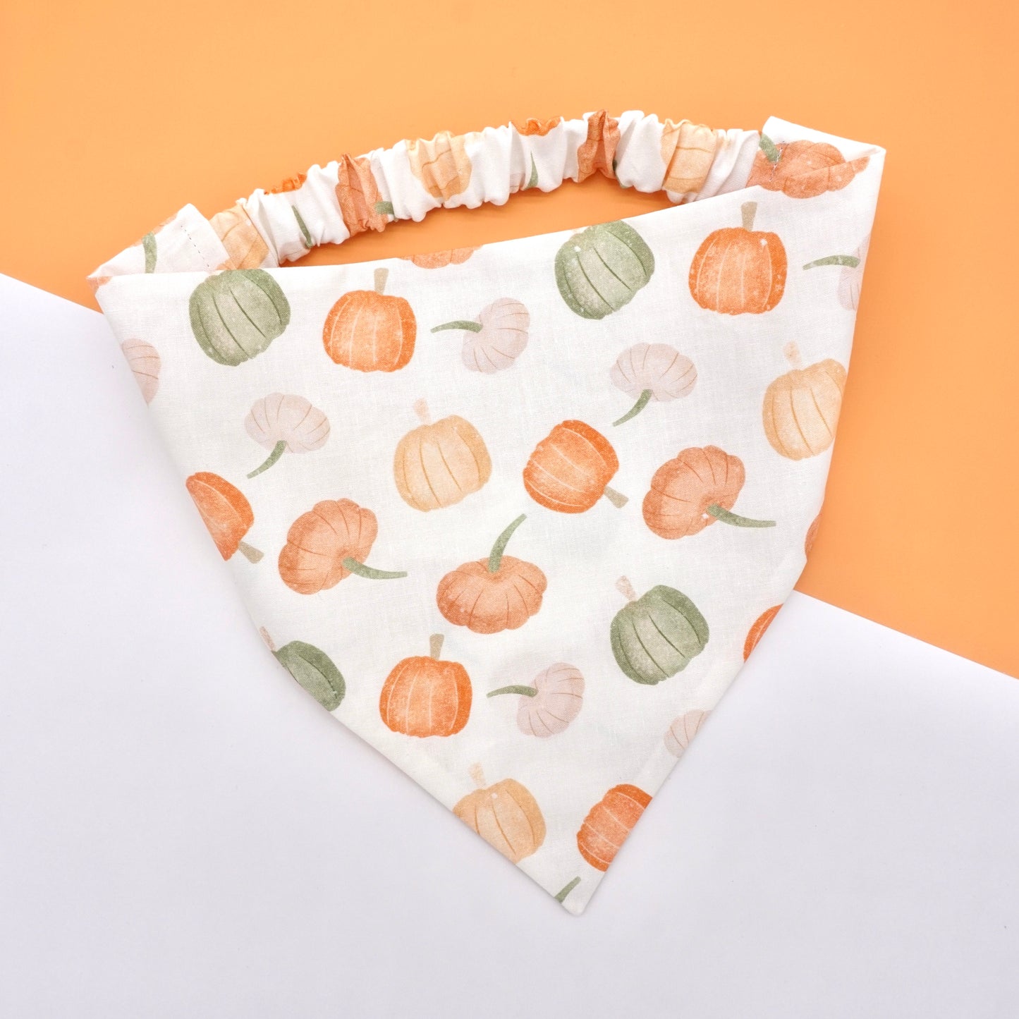 Pumpkin Harvest Bandana