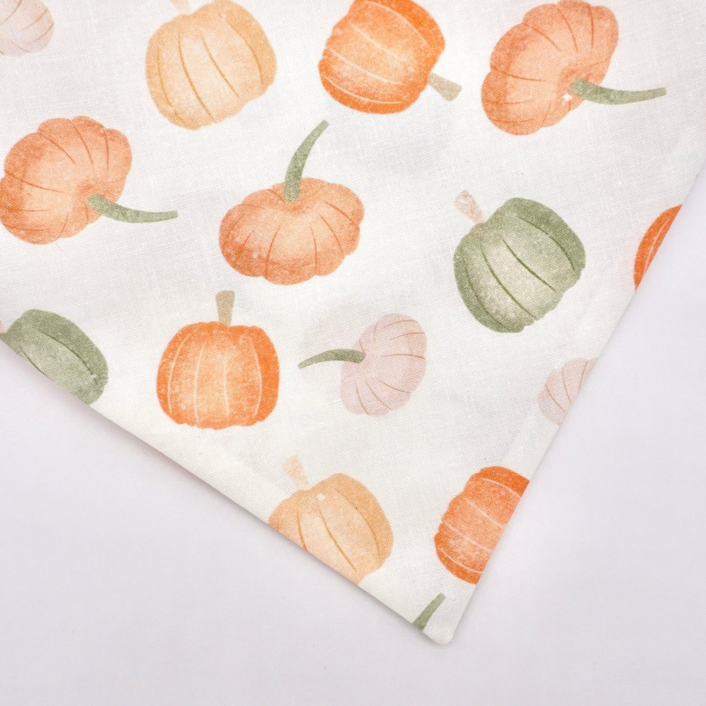 Pumpkin Harvest Bandana