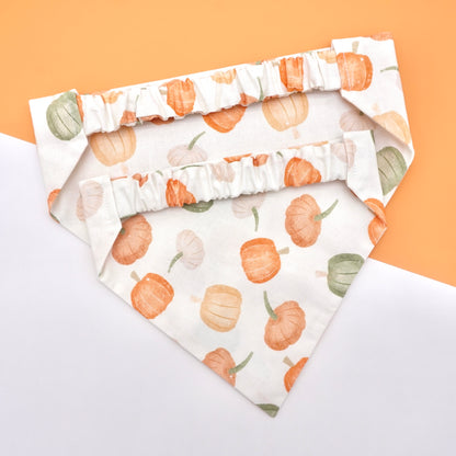 Pumpkin Harvest Bandana