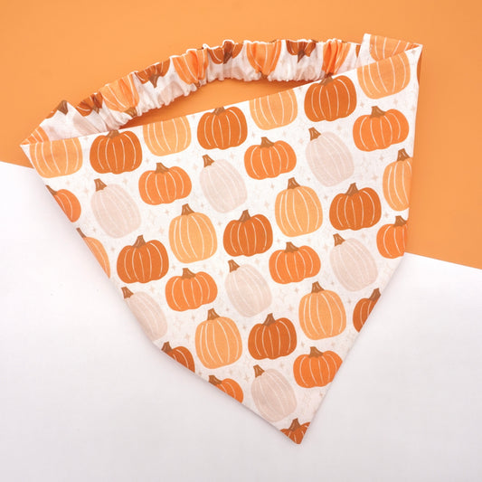Pick of the Patch Bandana