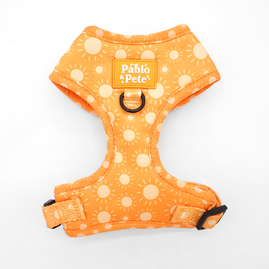 Le Soleil Harness