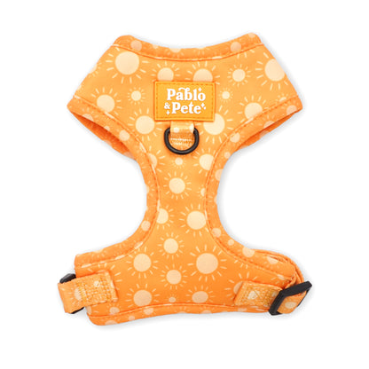 Le Soleil Bundle