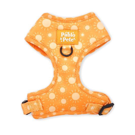 Le Soleil Harness
