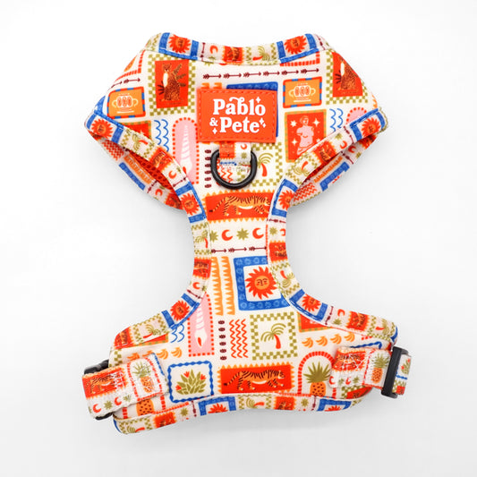 Sunkissed Moments Harness