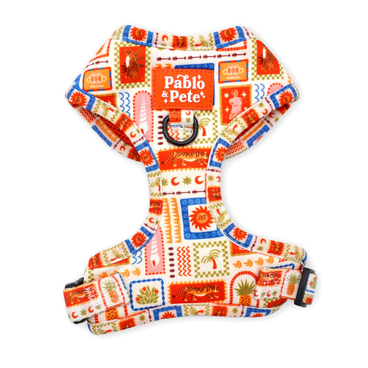 Sunkissed Moments Harness