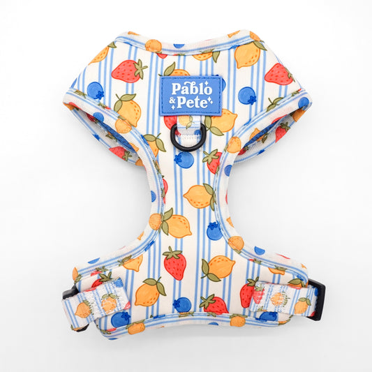 Berry Zest Harness