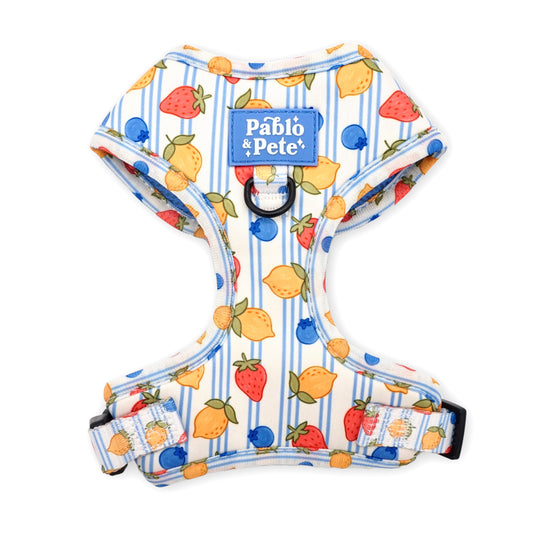 Berry Zest Harness