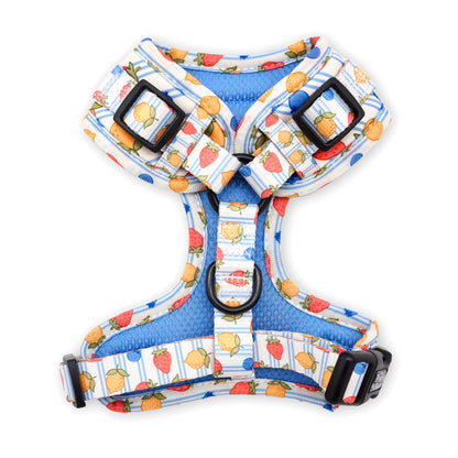 Berry Zest Harness