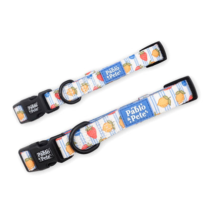 Berry Zest Bundle