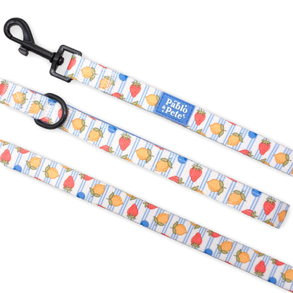 Berry Zest Bundle