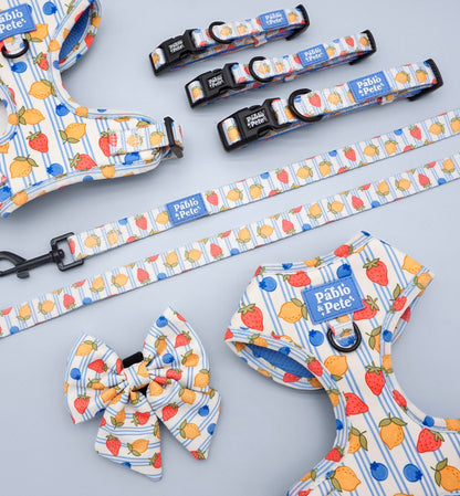 Berry Zest Harness