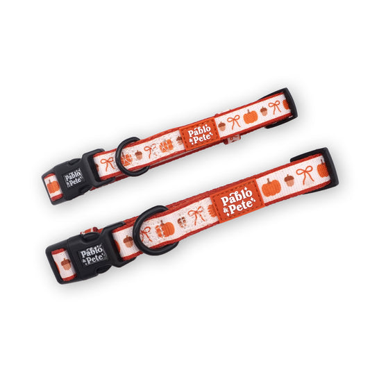 Pumpkin Season Collar