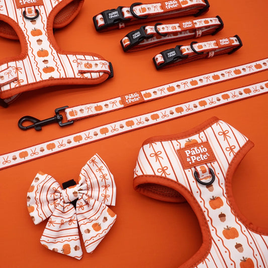 Pumpkin Season Bundle