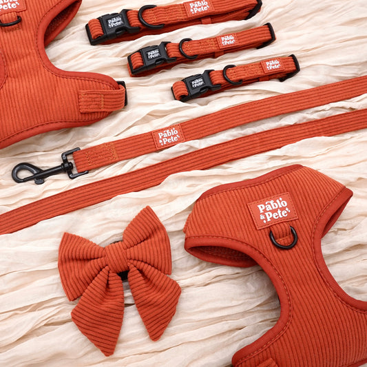 Maple Haze Cord Bundle
