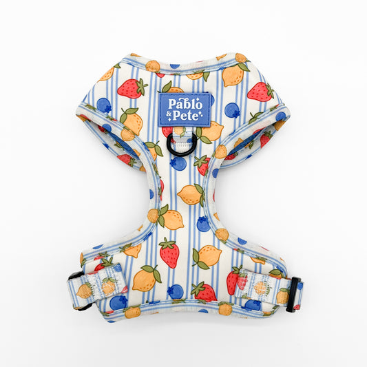 Berry Zest Harness
