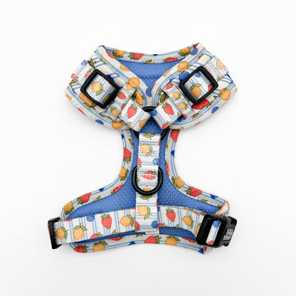 Berry Zest Harness