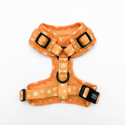 Le Soleil Harness