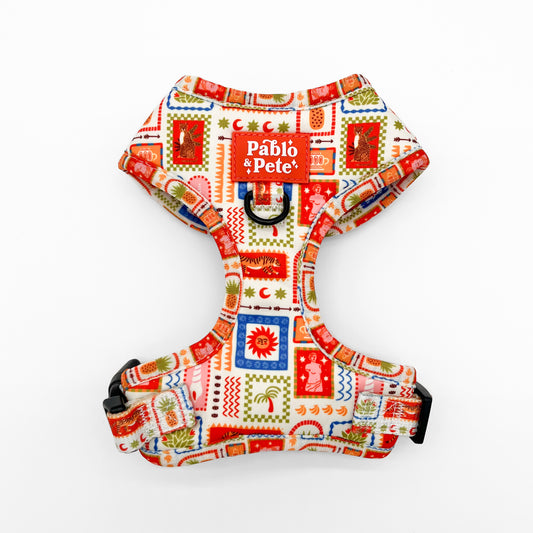 Sunkissed Moments Harness