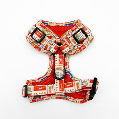 Sunkissed Moments Harness