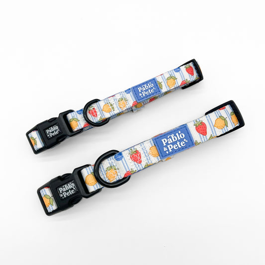Berry Zest Collar