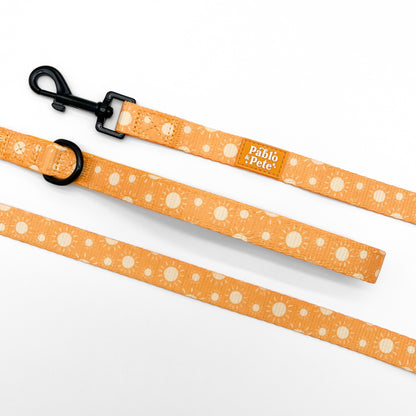 Le Soleil Bundle
