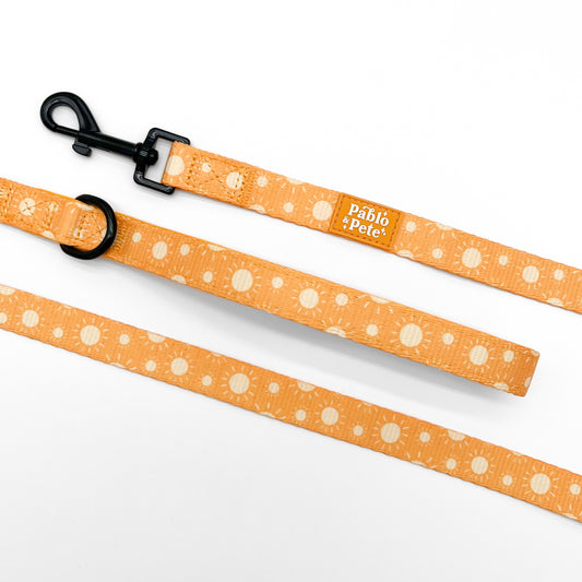 Le Soleil Lead
