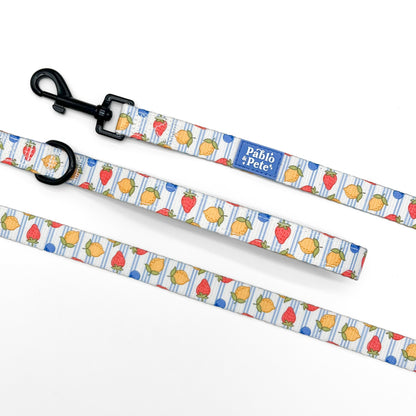 Berry Zest Bundle