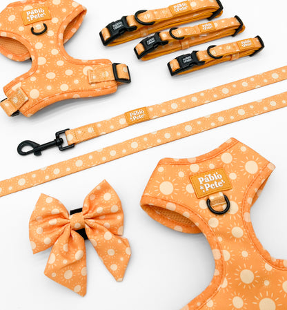 Le Soleil Bundle