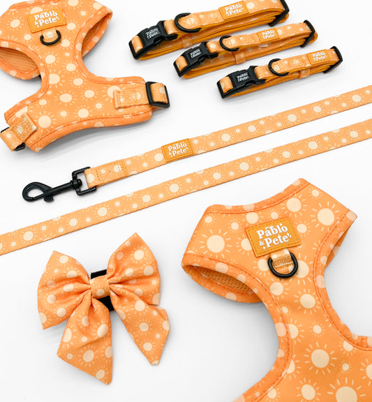 Le Soleil Bundle