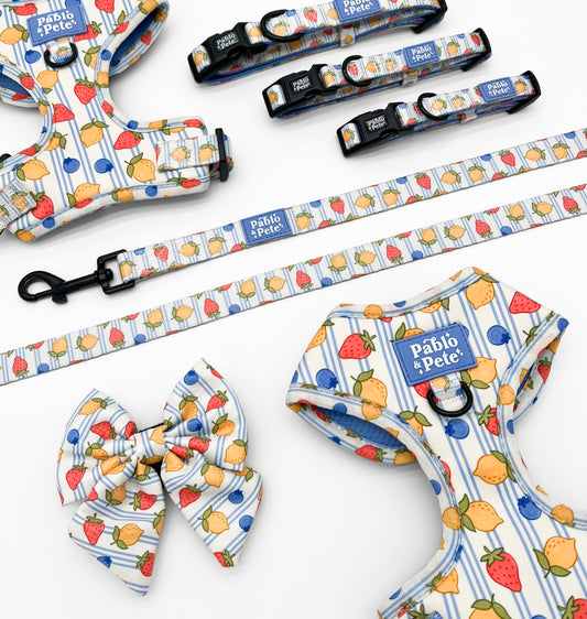 Berry Zest Bundle