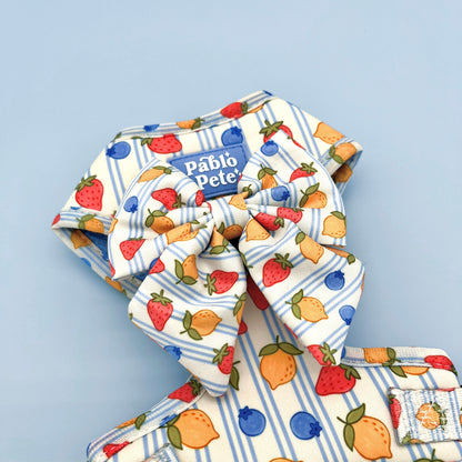 Berry Zest Harness