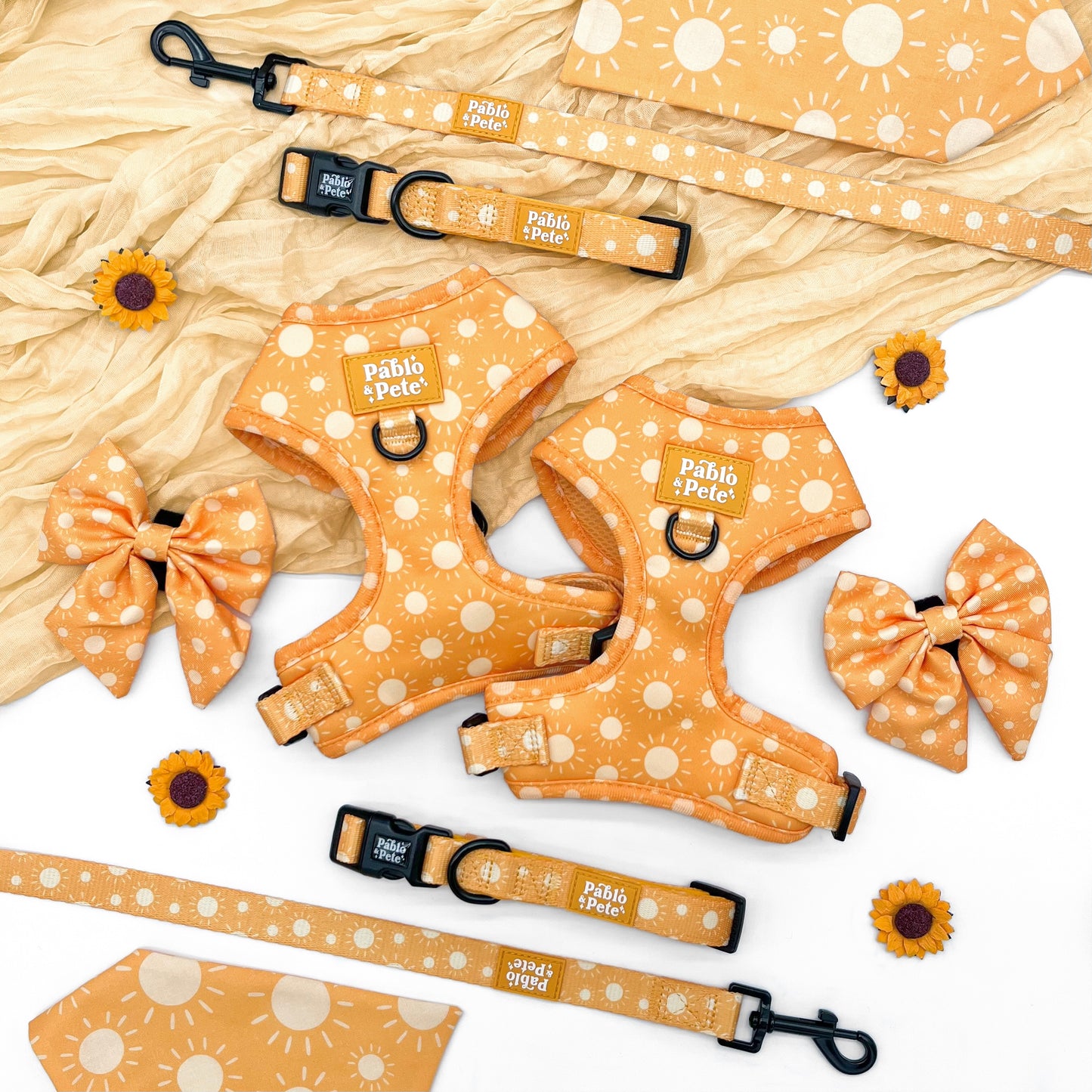 Le Soleil Harness