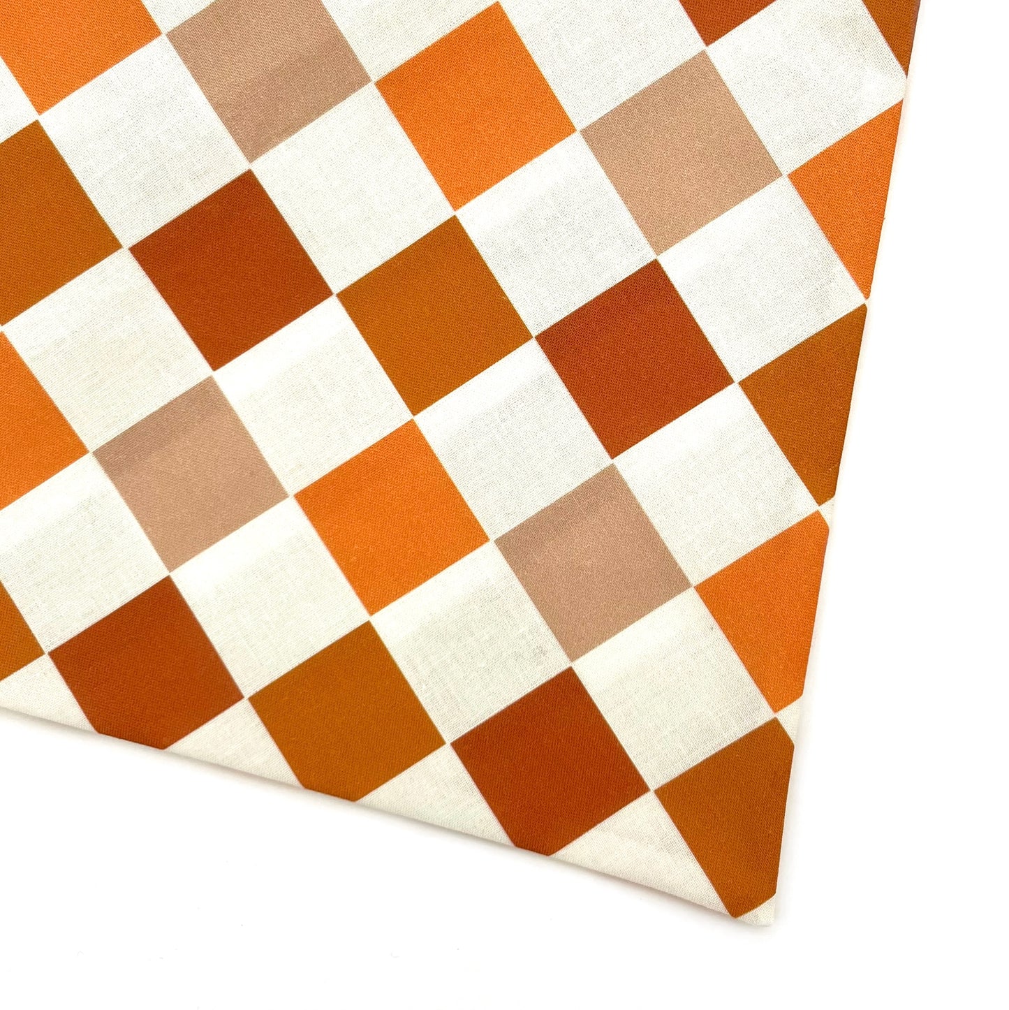 Autumn Picnic Bandana