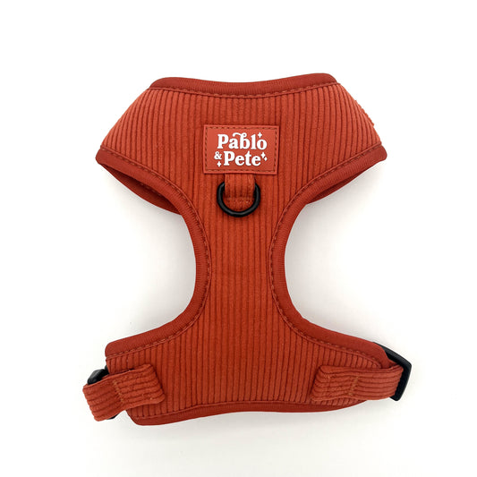 Maple Haze Cord Harness