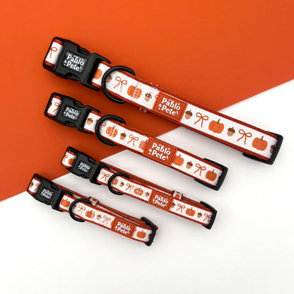 Pumpkin Season Collar