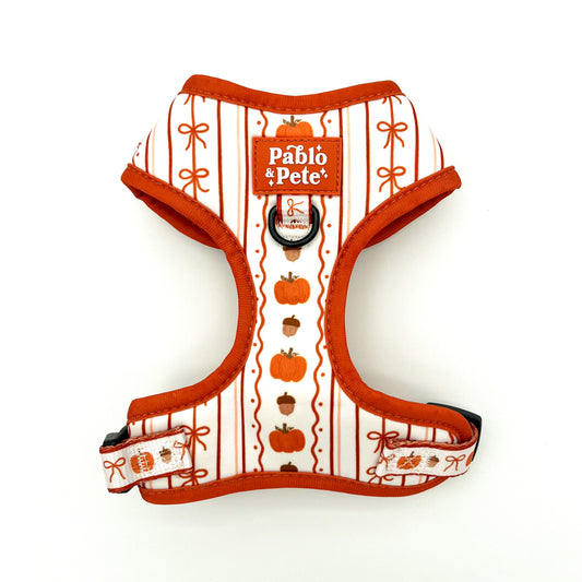 Pumpkin Season Harness