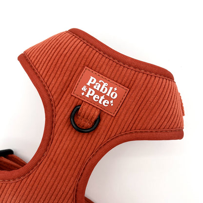 Maple Haze Cord Harness