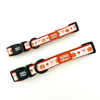 Pumpkin Season Collar