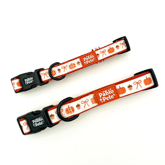 Pumpkin Season Collar