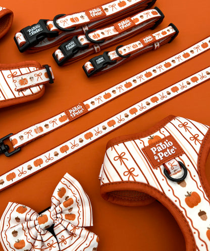 Pumpkin Season Collar