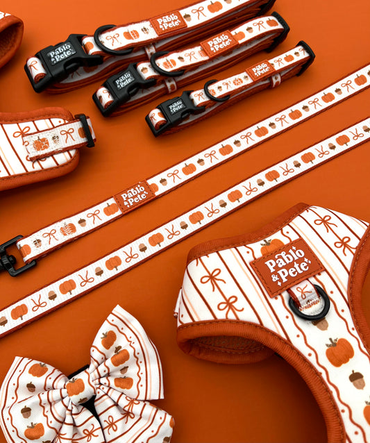 Pumpkin Season Bundle